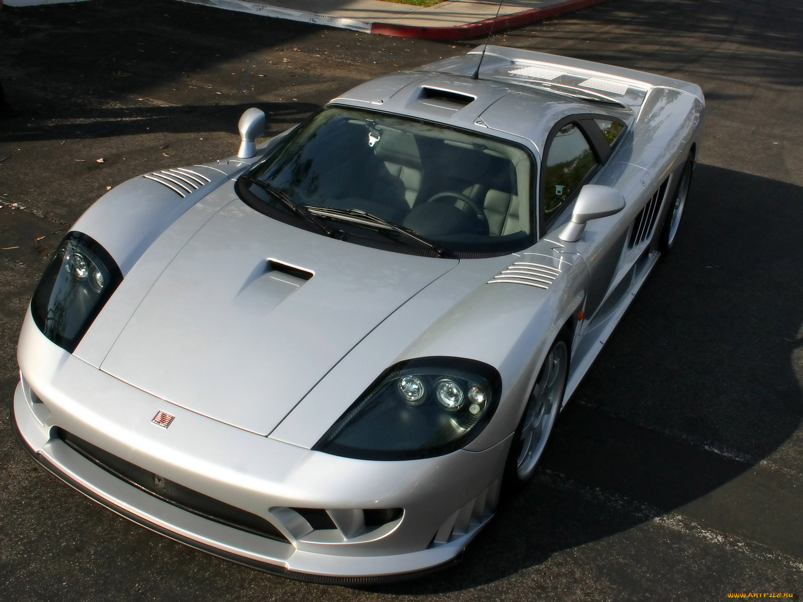 , saleen